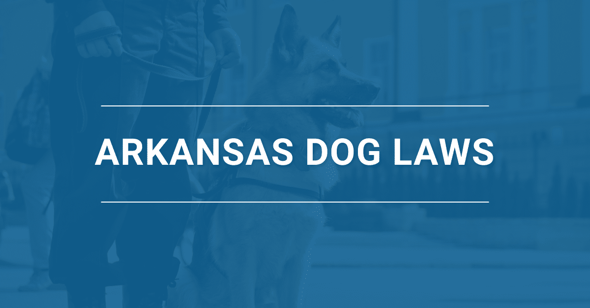 Arkansas Dog Leash and Dog Bite Laws in 2023