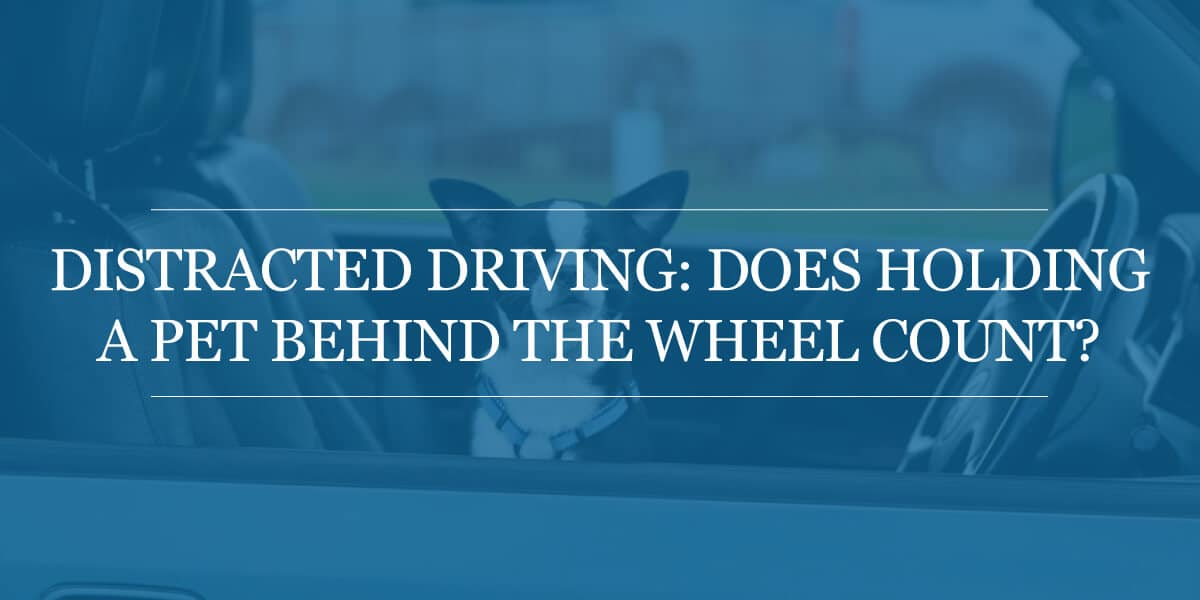Distracted Driving and Pets