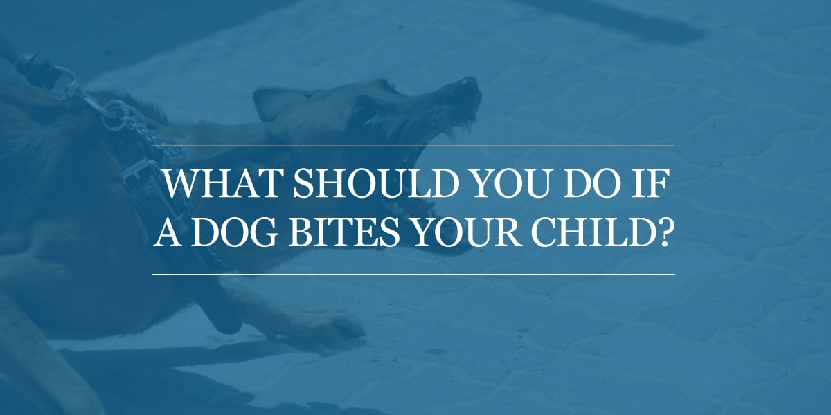 dog bite