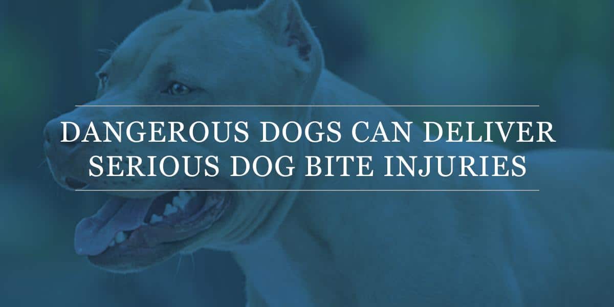 Dog Bite Injury